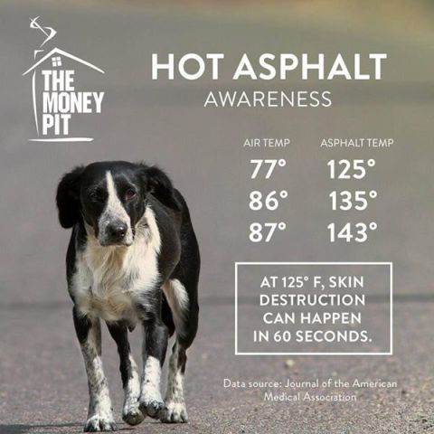 Hot Asphalt Awareness