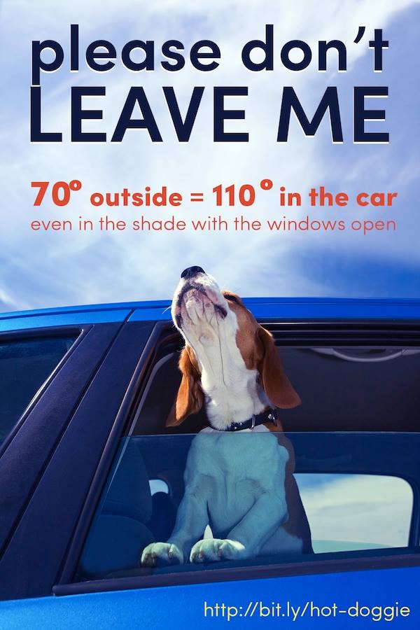 Don't Leave Me In The Car