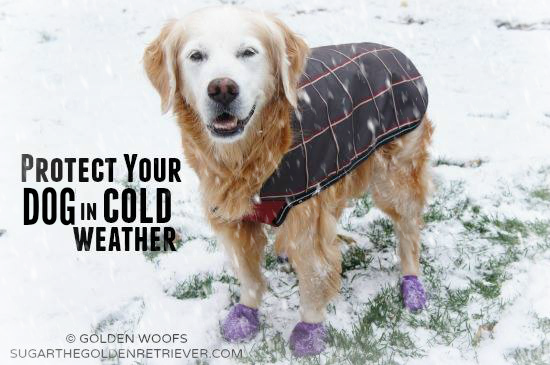 Bundle Up!