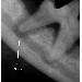 Thumbnail of photo in album