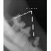 Thumbnail of photo in album