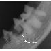 Thumbnail of photo in album